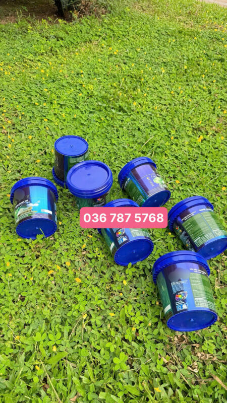 Thiết kế vỏ thùng sơn chuyên nghiệp cho thương hiệu mới – Bước đi chiến lược để chinh phục thị trường