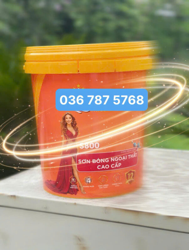 Dịch vụ in vỏ thùng sơn chuyên nghiệp – Giải pháp nâng tầm thương hiệu